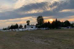 IMG-20200801-WA0024