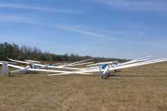 IMG-20200801-WA0048