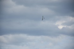 fluglager-2020_small_20