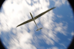 DSC_5248